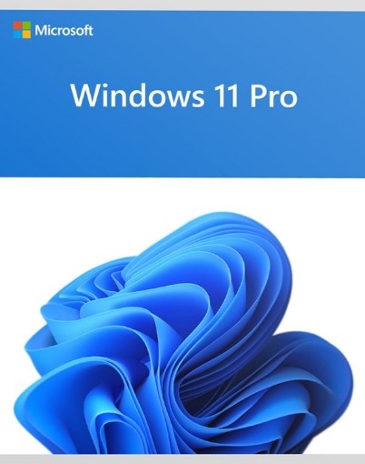 תמונה של מערכת הפעלה אנגלית Microsoft Windows 11 Professional 64Bit
