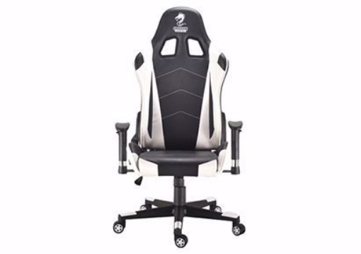 תמונה של כסא גיימינג מדגם  Dragon Gladiator שחור \ לבן