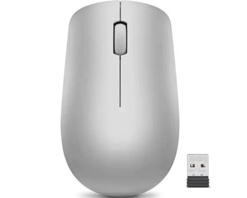 תמונה של Lenovo 530 Wireless Mouse (Platinum Grey)