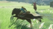 תמונה של The Legend of Zelda: Breath of the Wild – NS2
