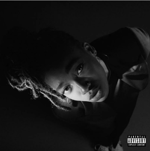 תמונה של תקליט Little Simz – Grey Area (White Viny)