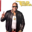 תמונה של תקליט Flo Rida – Now Playing LP – מהדורה צבעונית