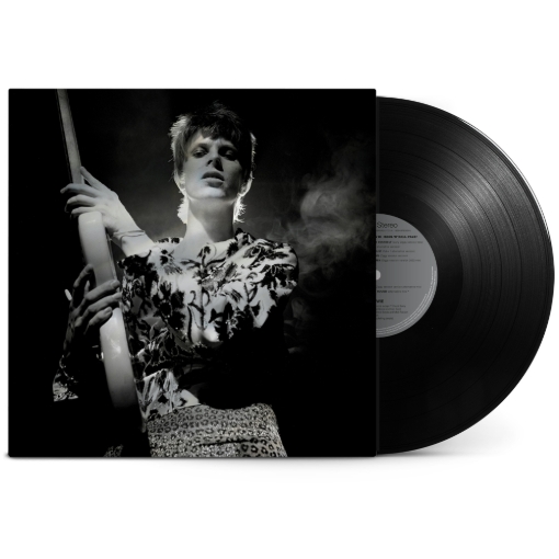 תמונה של תקליט David Bowie – Rock ‘N’ Roll Star! (Vinyl)