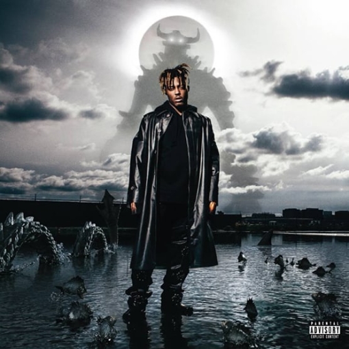 תמונה של תקליט Juice Wrld – Fighting Demons
