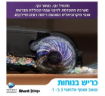 תמונה של שואב שוטף אלחוטי שארק 3 ב-1 SHARK HYDRO VAC  WD213