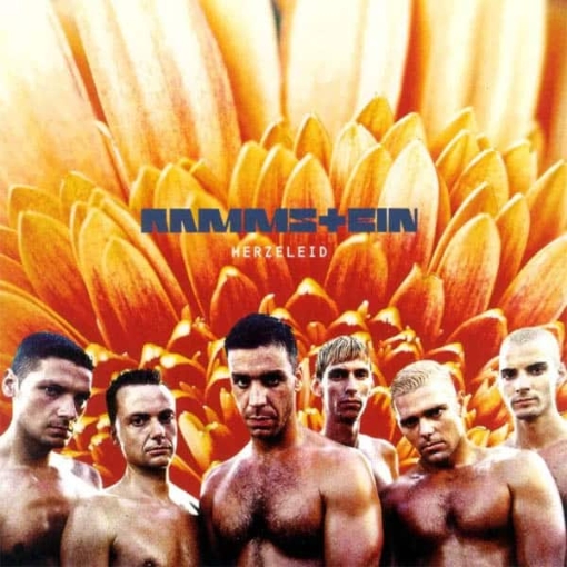 תמונה של תקליט כפול Rammstein – HERZELEID 2LP