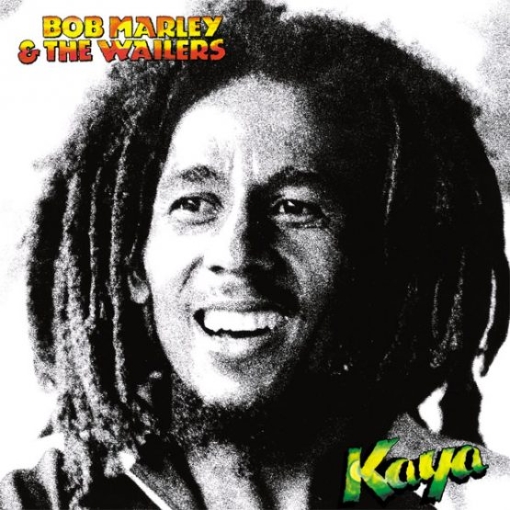 תמונה של תקליט Bob Marley & The Wailers Kaya 1LP