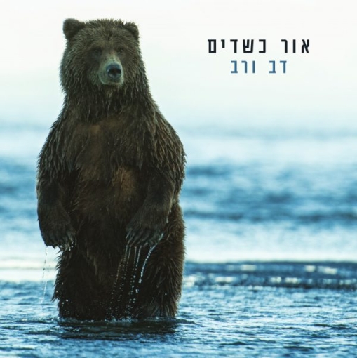תמונה של תקליט אור כשדים – דב ורב