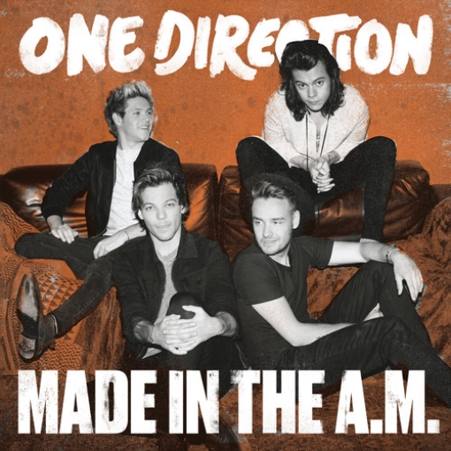 תמונה של תקליט ONE DIRECTION – Made In The A.M. 2LP