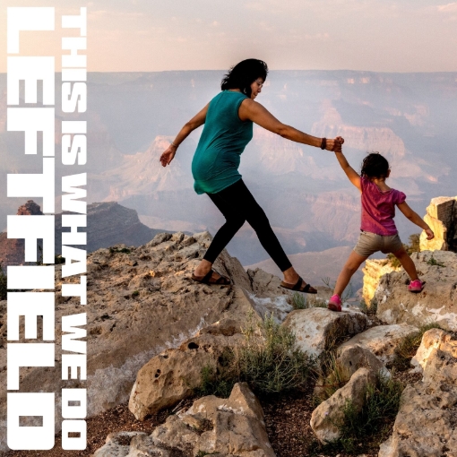 תמונה של תקליט כפול Leftfield – This Is What We Do