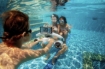 תמונה של סקוטר -White Gold SUBLUE  WhiteShark MixPro Underwater Scooter (with 122Wh Battery)