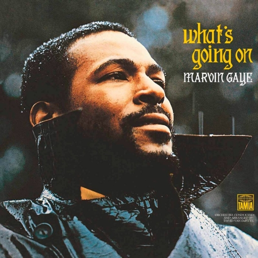 תמונה של תקליט Gaye Marvin WHAT´S GOING ON (BACK TO BLACK GATEFOLD EDITION)