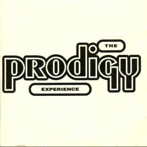 תמונה של תקליטProdigy/Experience