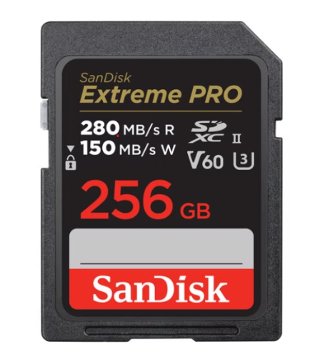 תמונה של כרטיס EX PRO SD 280S V60 6K 256G