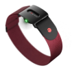 תמונה של חיישן דופק אופטי לזרוע עם Bluetooth, ANT+ וזיכרון פנימי מבית Polar Verity Sense