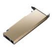 תמונה של מאיץ בינה מלאכותית (AI)  - NVIDIA L4 Passive PCIe 24GB LP bracket installed