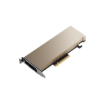תמונה של מאיץ בינה מלאכותית (AI) - NVIDIA A2 Tensor Core GPU PNY