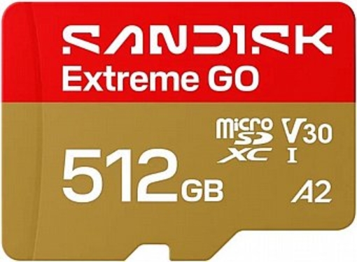 תמונה של כרטיס SanDisk Extreme Go  microSD 240S 512G