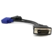 תמונה של DVI-I Converter Cable