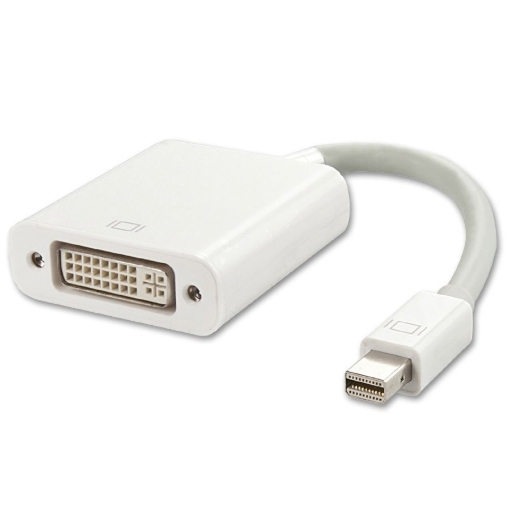 תמונה של Mini DP To DVI Adapter