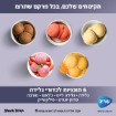 תמונה של מכונת גלידה וגלידה אמריקאית Ninja CREAMI SPOON & SPIN NC703